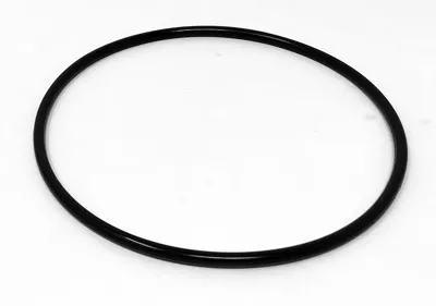 U7000/SSV 4.0" BODY O-RING, FPM FDA POS 21