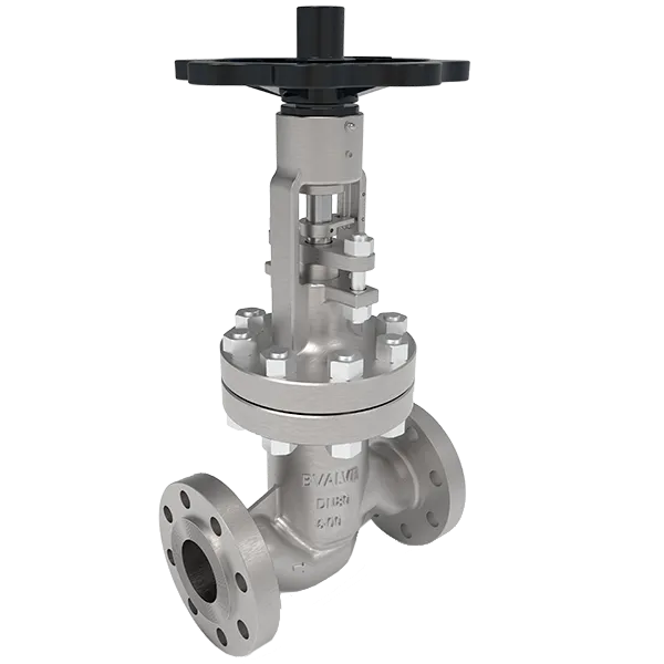 Pneumatic actuated BSV Bvalve BV25066 AMA PN40