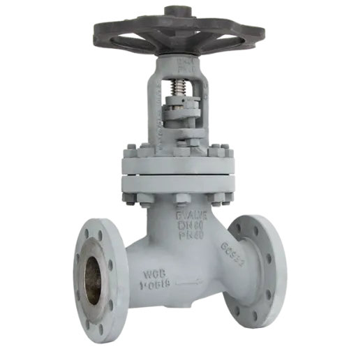 Pneumatic actuated BSV Bvalve BV25065 AMA PN40