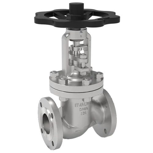 Pneumatic actuated BSV Bvalve BV25066 AMA PN40