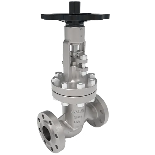 Pneumatic actuated BSV Bvalve BV25066 AMA PN40