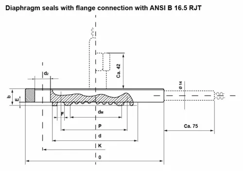 DIAPHRAGM SEALS WITH FLANGE CONNECTION (MOD. SMF)