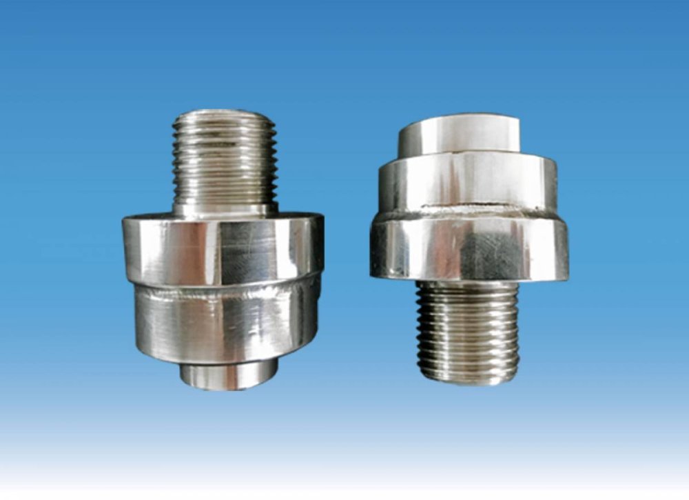 DIAPHRAGM SEALS 1/2" THREADED CONNECTION (MOD. SM12)