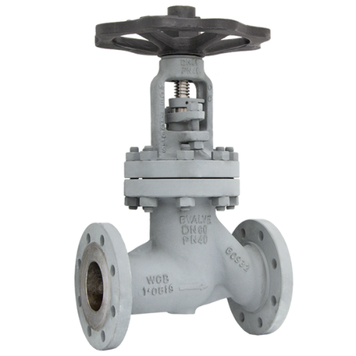 Pneumatic actuated BSV Bvalve BV25065 AMA PN40